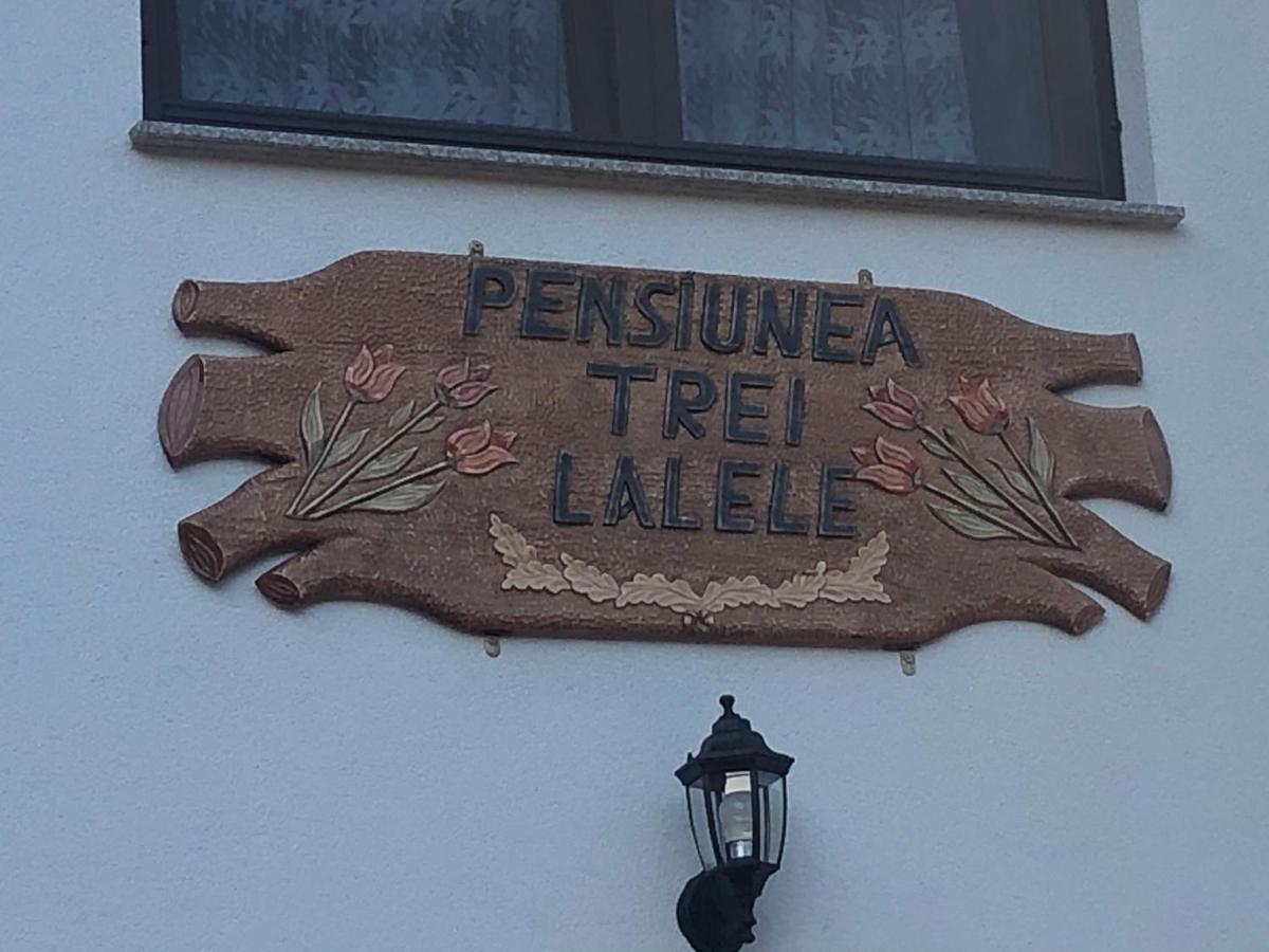 Pensiunea Trei Lalele Moisei Extérieur photo