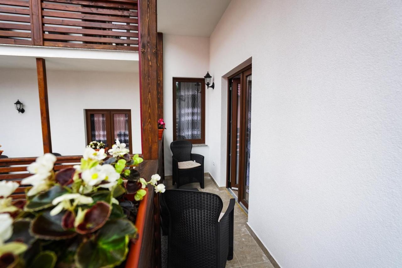 Pensiunea Trei Lalele Moisei Extérieur photo